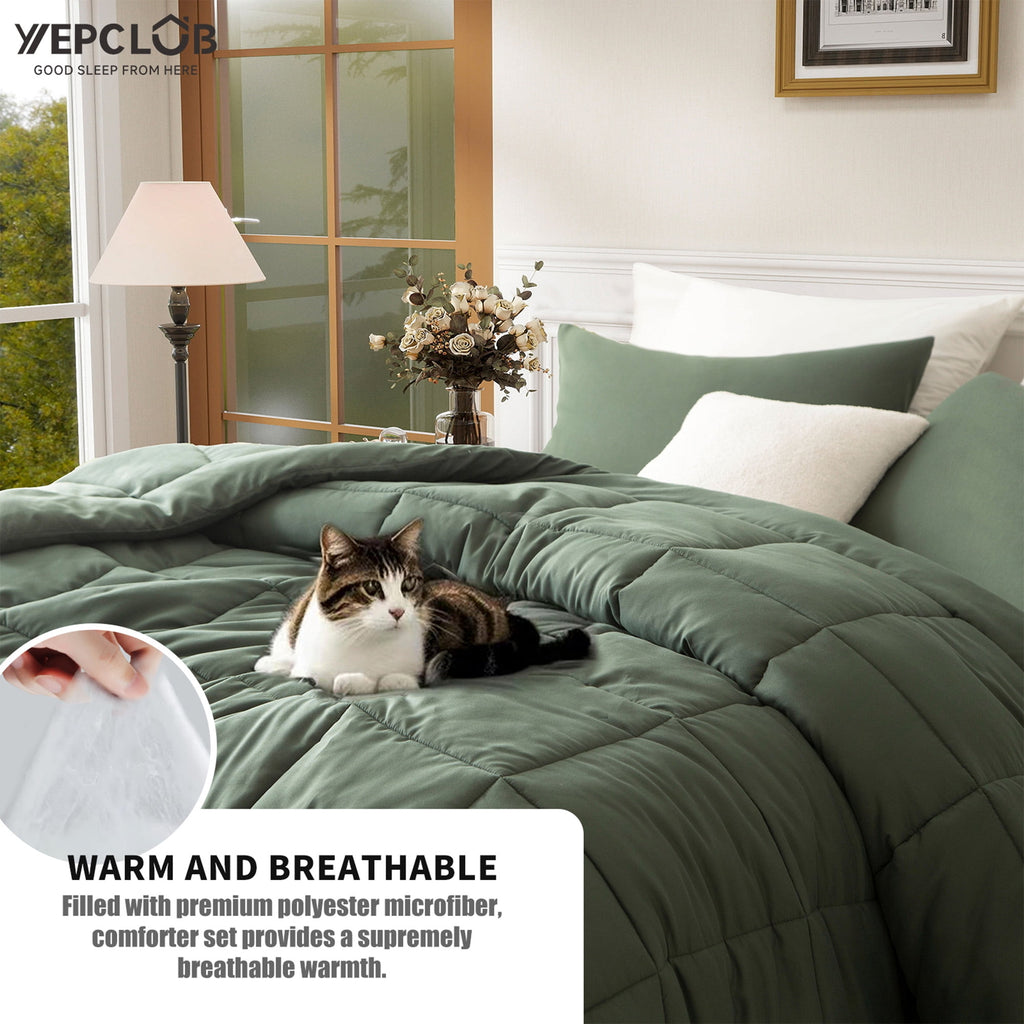 3-Piece Twin Size Comforter Set, Green Down Alternative Reversible Bedding Set, All-Season Quilted Soft Comforter wit... - Image 5