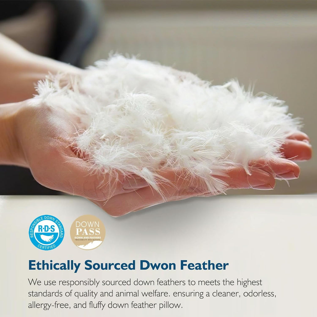 Hypoallergenic 3‑Chamber Goose Feather Down Core Bed Pillows, Standard Size Set of 2, With Microfiber Surround, Soft-... - Image 4