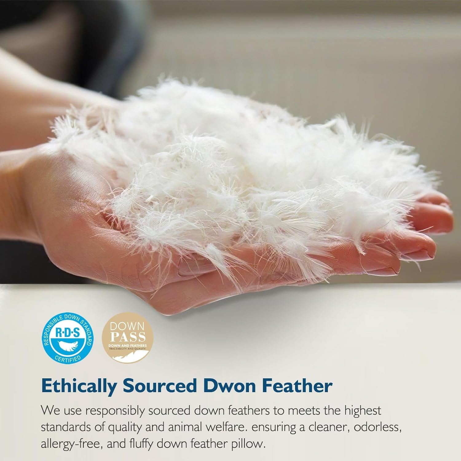 Hypoallergenic 3‑Chamber Goose Feather Down Core Bed Pillows, Standard Size Set of 2, With Microfiber Surround, Soft-... - Image 4