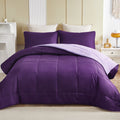 Lightweight Reversible 3-Piece Comforter Set All Seasons, Down Alternative Comforter with 2 Pillow Shams, Queen Size,...