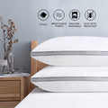 Down Alternative Bed Pillow with Cotton Cover and Gusset, 2 Pack, Queen, 20"x26"