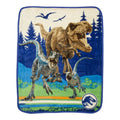 Kids Silky Soft Plush Throw Blanket, 40" x 50"