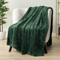 PAVILIA Sherpa Throw Blanket For Couch Sofa, Emerald Green Fluffy Warm Plush Blanket for Bed, Cozy Super Soft Lightweight Throw, Fuzzy Decor