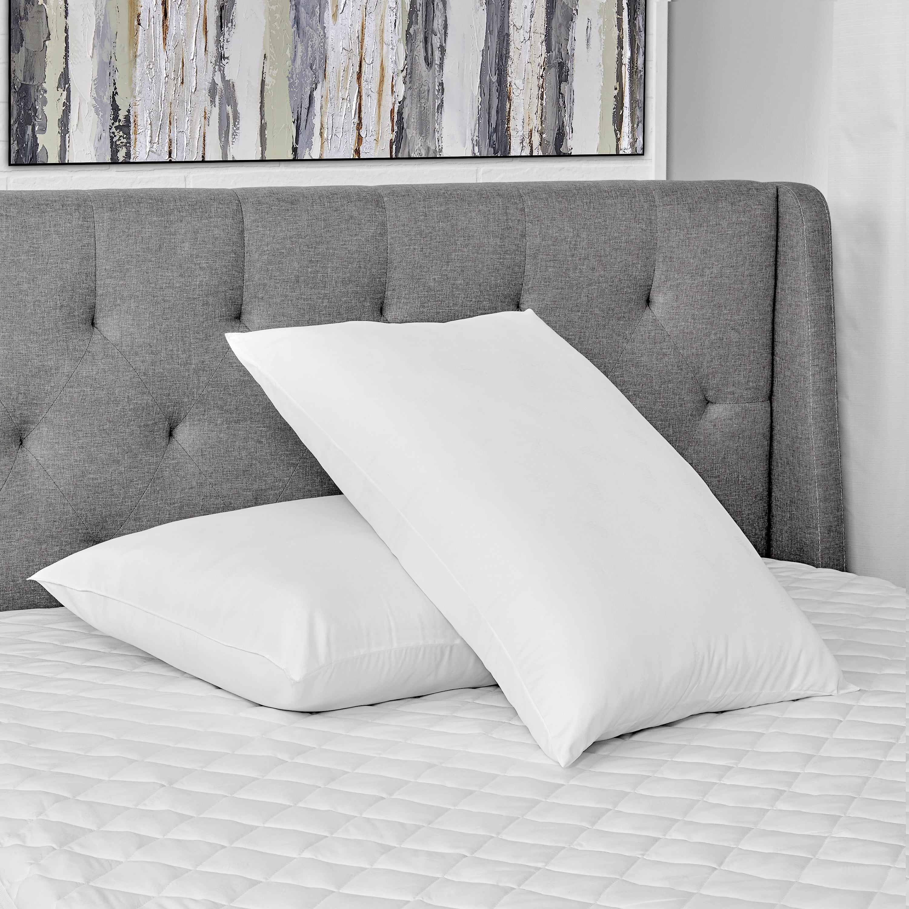 AllerEase Cotton Fresh Bed Pillow, S/Q, White- 2 Pack Antimicrobial Allergy Defense Fabric - Image 5